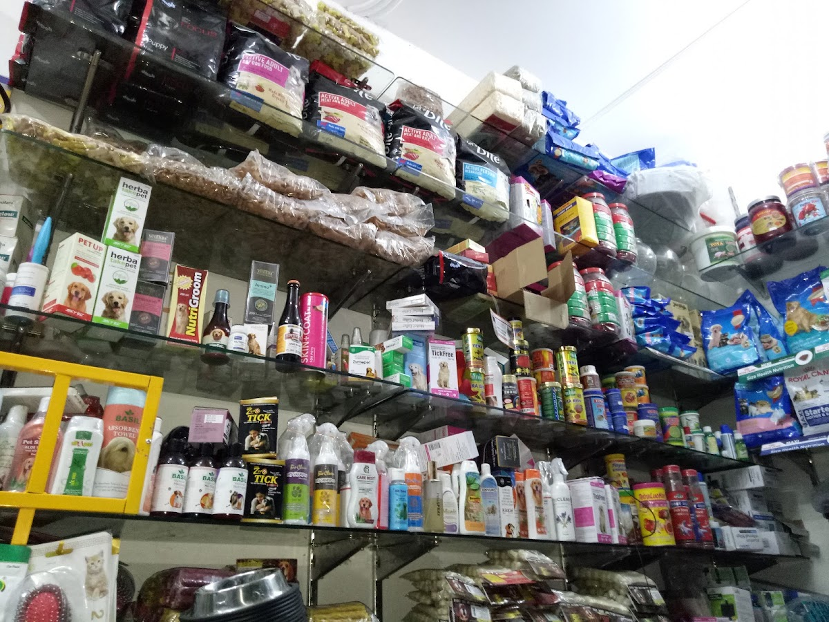 King Pets World — photo 3
