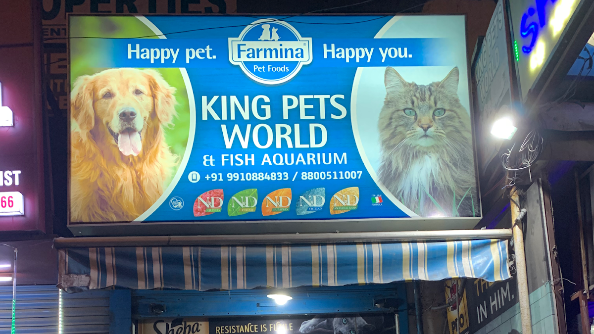 King Pets World — photo 5