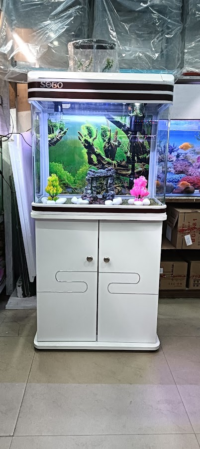 Aqua point fish aquarium shop - photo 14