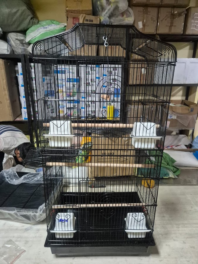 Aqua point fish aquarium shop - photo 8