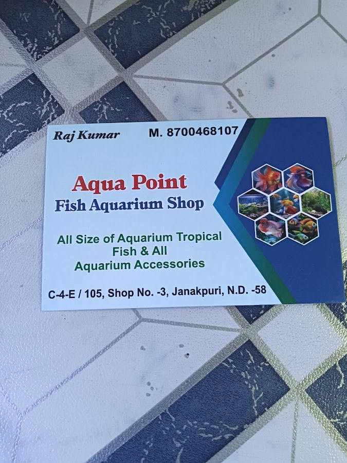 Aqua point fish aquarium shop - photo 2