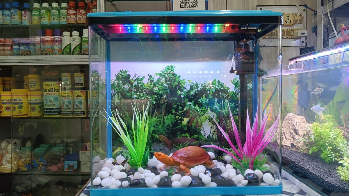 Aqua point fish aquarium shop - photo 1