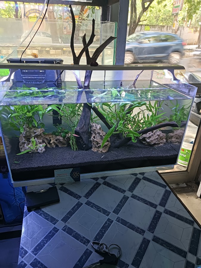 Aqua point fish aquarium shop - photo 7