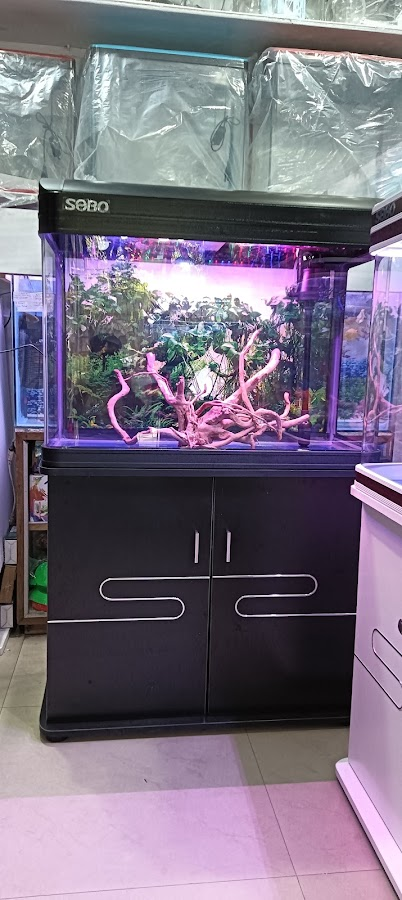 Aqua point fish aquarium shop - photo 13