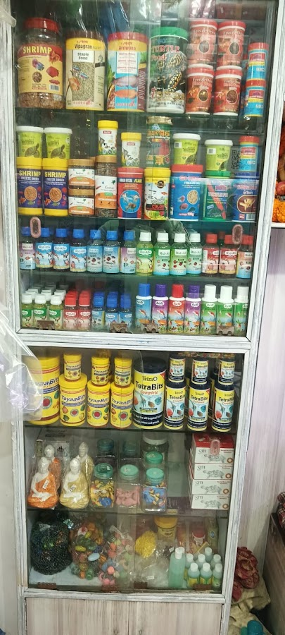 Aqua point fish aquarium shop - photo 12