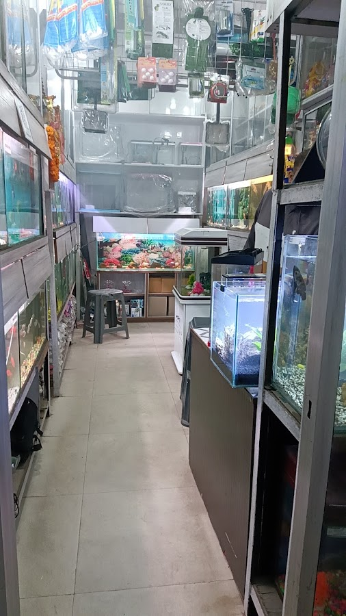 Aqua point fish aquarium shop - photo 4