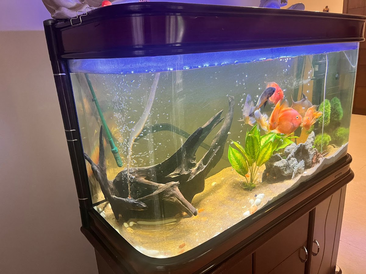 Aqua point fish aquarium shop - photo 3