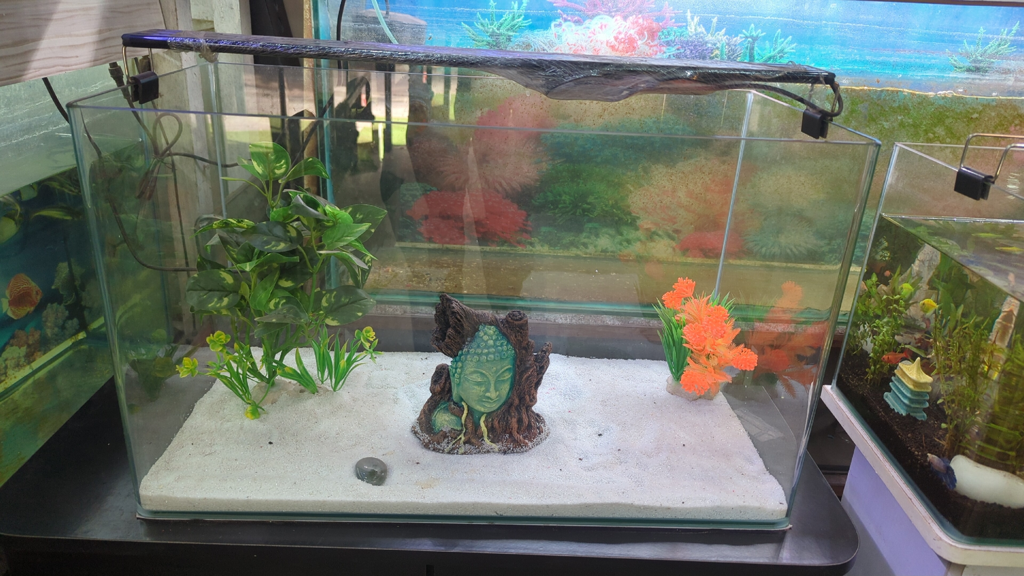 Aqua point fish aquarium shop - photo 19