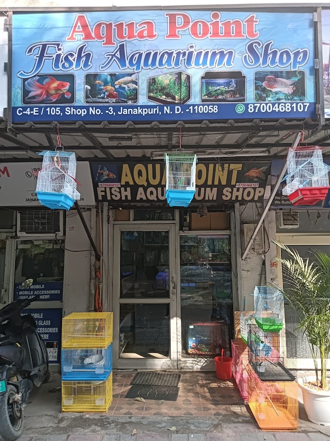 Aqua point fish aquarium shop