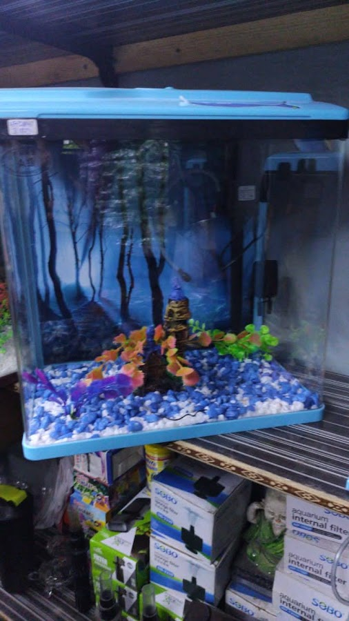 Water Queen Quariums — photo 15