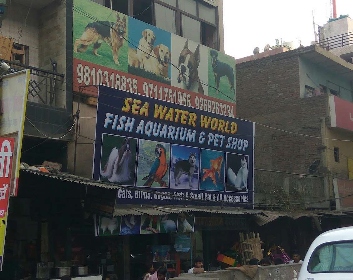 Water Queen Quariums — photo 5