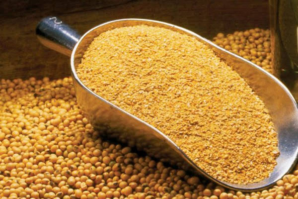Soya DOC